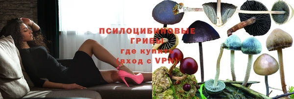 a pvp Алексеевка