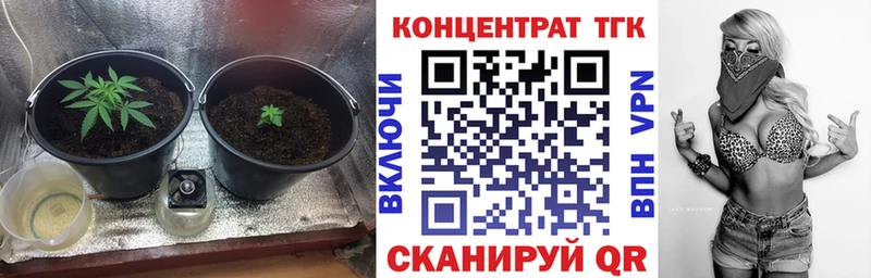 shop какой сайт  Сенгилей  ТГК вейп с тгк 